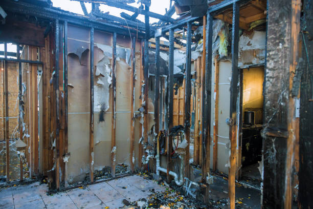 Professional Odor Removal technician working in Utica, NE